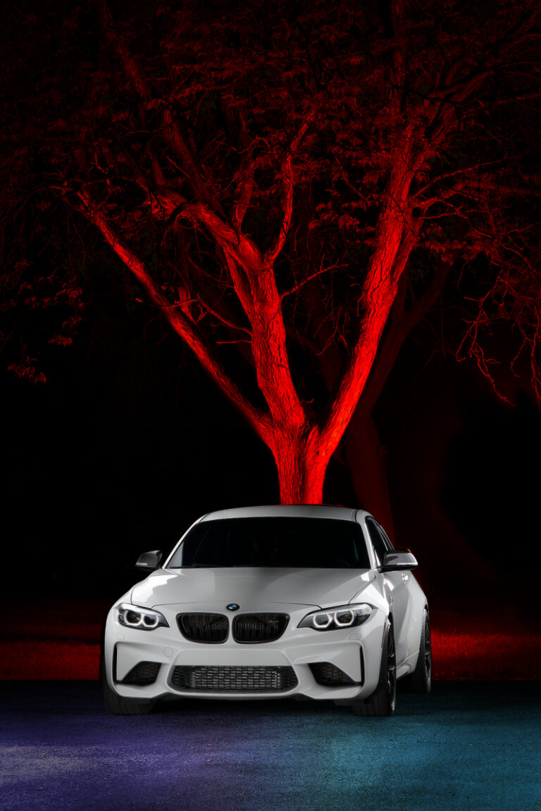 Red Tree v2 (Website)
