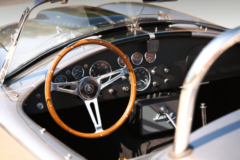 Cobra 1